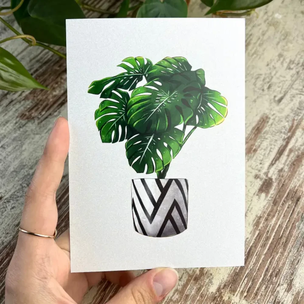 Ansichtkaart/A6 Print - Monstera Deliciosa in zwart-witte pot