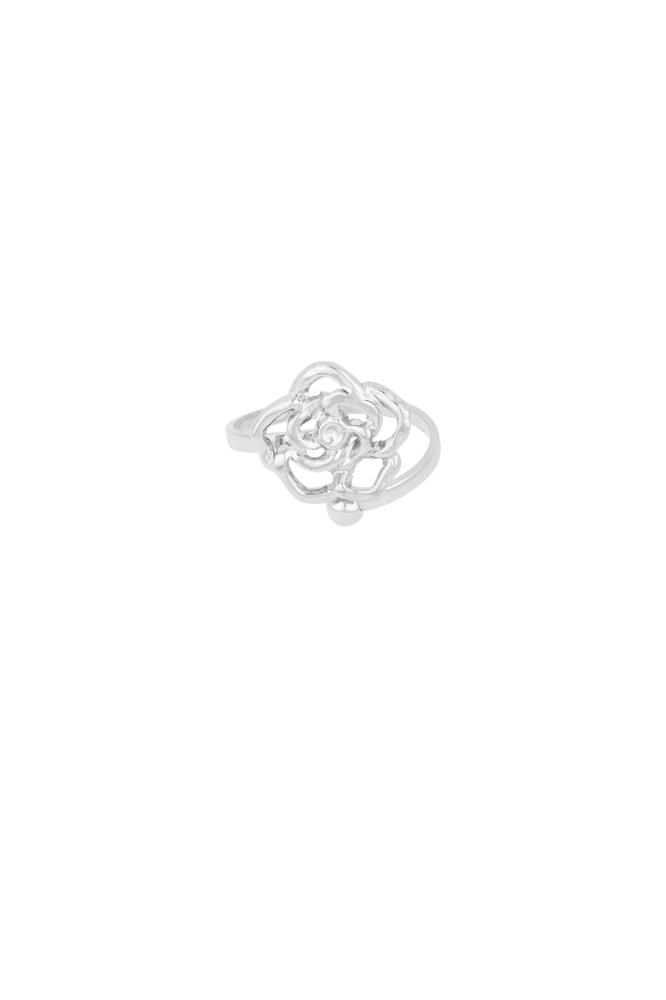Stainless Steel Ring Roos