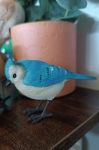Decoratief vogeltje: blauw meesje
