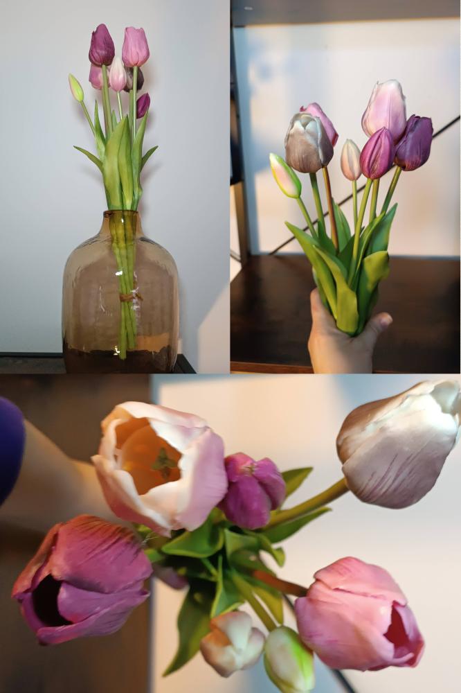 Tulpen  groot, middel of klein