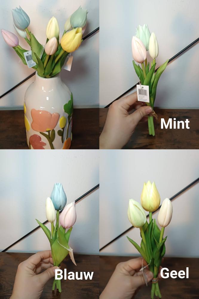 Tulpen  groot, middel of klein