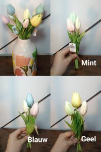 Tulpen  groot, middel of klein
