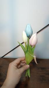 Tulpen  groot, middel of klein