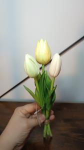 Tulpen  groot, middel of klein