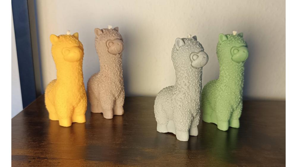 Alpaca