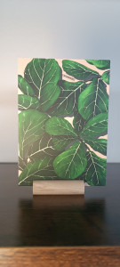 Ansichtkaart/A6 Print - Ficus