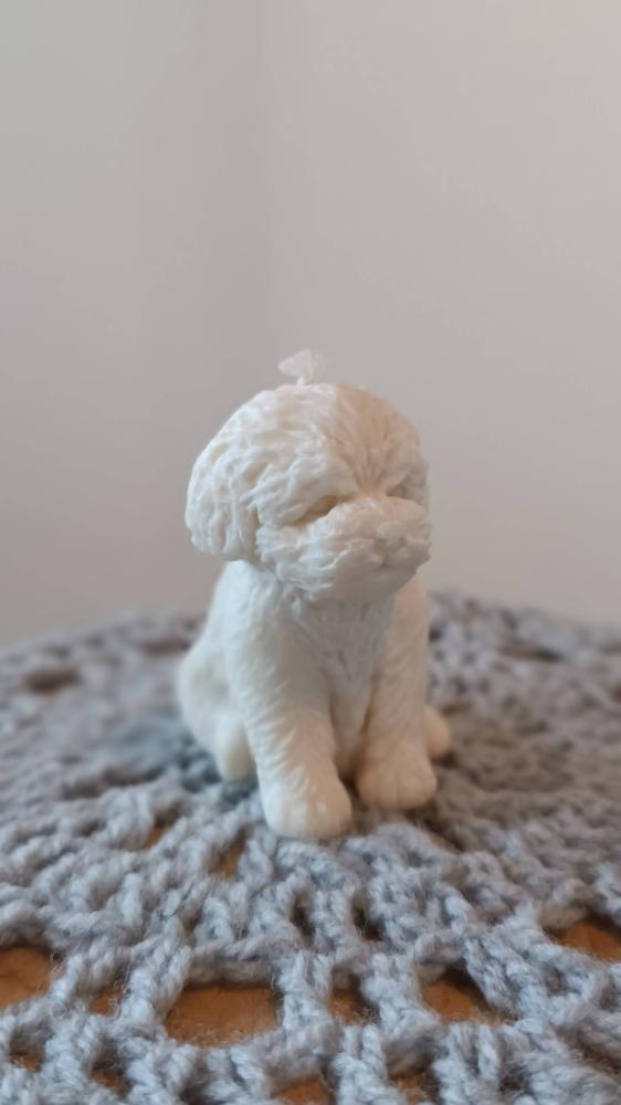 Kaars hondje