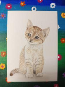 Ansichtkaart - Kat / Kitten