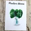 Ansichtkaart/A6 print - Monstera Deliciosa