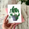 Ansichtkaart/A6 afdruk - Pilea (pannekoekenplant)