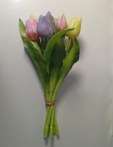 Tulpen pastelkleur